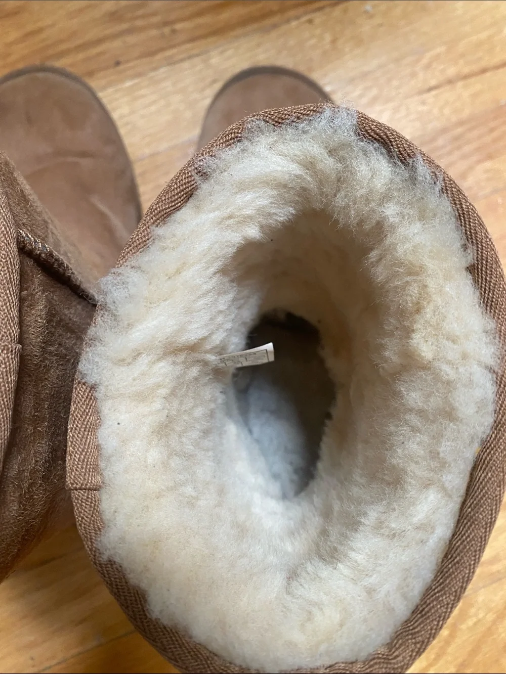 UGG Classic Short Boots - Chestnut Suede